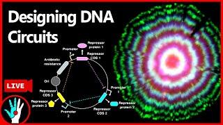 [LIVE]  Programming DNA circuits | Learn Real Genetic Engineering - Part 3