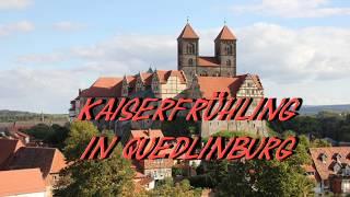 Kaiserfrühling 2018  in Quedlinburg