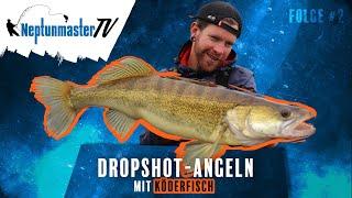 Dropshot-Angeln vom Ufer mit Köderfisch - Folge #2