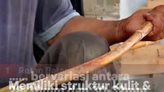 4 Jenis Rotan Rotan Untuk Furnitur