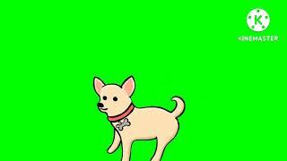 greenscreen copright free green screen cartoon  dog walking