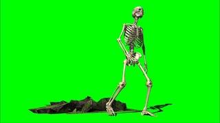 Green Screen Skeleton / Skeleton rises from grave