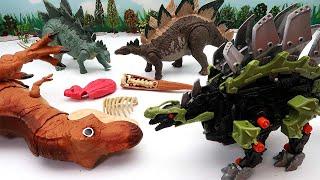 T-Rex VS Stegosaurus! Dinosaur Battle With ZOIDWILD Stegosaurus
