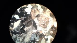 Tonalite - Igneous Rocks under microscope