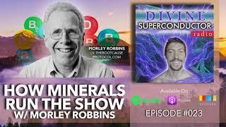 How Minerals Run the Show w/ Morley Robbins | Divine Superconductor Radio Ep. #023