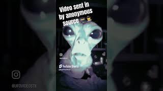 New 2024 alien UFO footage? Real or fake??? #alien #ufo #uap #2024 #shorts #paranormal