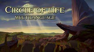 Circle of life - Multilanguage (with Lyrics)
