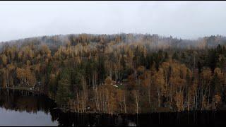 #30 Autumn has arrived at the lake. Renovating a cabin in Sweden