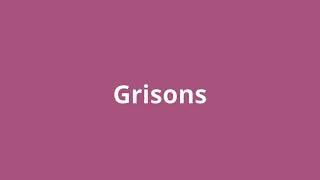 what is the meaning of Grisons