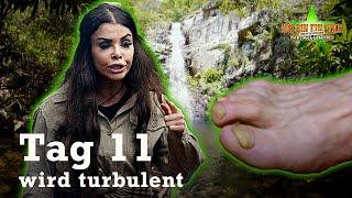 AUSBLICK auf Tag 11 bei IBES  | Legenden-Dschungelcamp