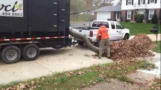 Leaf Removal Service & Leaf Collection