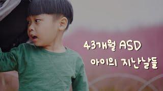 자폐 스펙트럼 42개월 아이의 일기 / 상동행동 / 바퀴돌리기 / 행동모방 / 자폐 스펙트럼 / 자폐