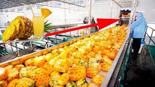 Pineapple Juice Production Process Inside the Factory, The Best Modern Food Processing Machines