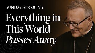 Everything in This World Passes Away - Bishop Barron's Sunday Sermon