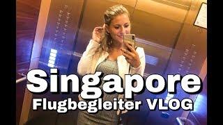 Welcome to Singapore    - Flugbegleiter VLOG