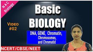 Chromatin Chromatid Chromosome and Genes Explained | Basic Biology