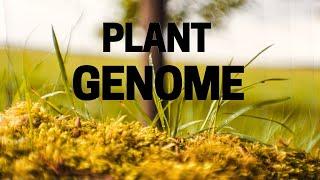 Plant Genome| Explained| Plant Biotechnology