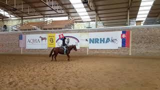 Whizy  -Beauty Special Whiz 2018 mare