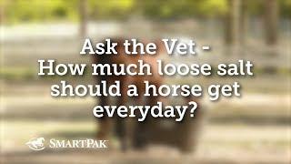 Ask the Vet - How much loose salt should a horse get everyday?