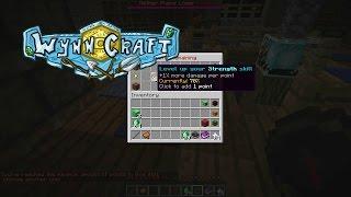 Wynncraft 1.13: How to Solo Bosses with Mage Class! (Mage Skill Build)