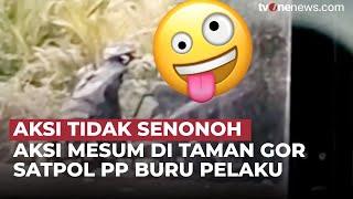 Sepasang Remaja Mesum di Taman Gor Probolinggo, Satpol PP Buru Pelaku | OneNews Update