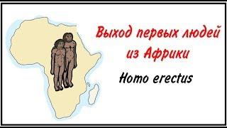 Как древние люди вышли из Африки