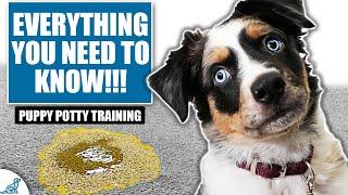 Your COMPLETE Guide To Puppy Potty Training!