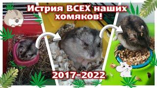 История ВСЕХ Наших Хомяков{эры 2017-2022 годов} яХрумка