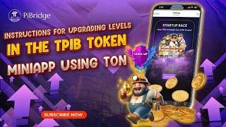 Instructions For Upgrading Levels In The TPIB Token Miniapp Using TON