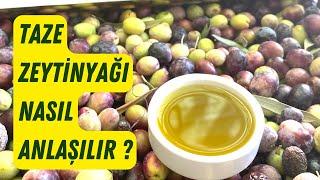 Zeytinyağının Üretim Tarihi Nasıl Anlaşılır ?