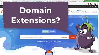 What Are Different Domain Extension Types You Can Buy?