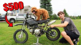I Bought a $500 Pit Bike (Sat In a Barn For Years)