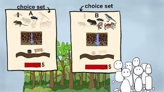 Valuation of Ecosystem Services: Choice Experiments