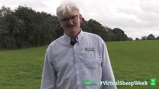 Nutrient Management Plan on John O'Connells Farm - Virtual Sheep Week - Tom Coll