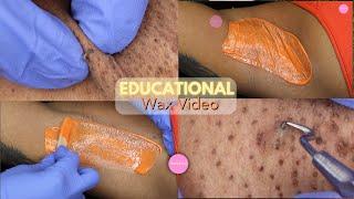 Educational Wax Video