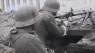 Stalingrad; “Not One Step Back”