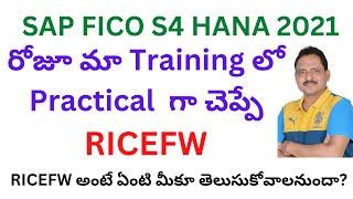 What is SAP RICEFW ? | SAP FICO S4 HANA Training | SAP FICO in Telugu | Veera BS-SAP Trainer