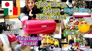 ¡TODO ESTO Me Trajeron DESDE MÉXICO!  + MALETA Entera de FELICIDAD - JAPÓN  - Ruthi San  17-12-24