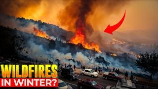 Los Angeles Wildfires Disaster: What’s Happening And What Are The Causes?