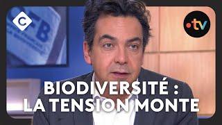 L’Office Français de la biodiversité, ennemi des agriculteurs ? - L’édito de Patrick Cohen