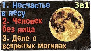 Истории на ночь (3в1): 1.Несчастье в лесу, 2.Человек без лица, 3.Дело о вскрытых м0гилах