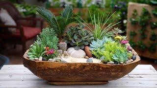 Antique Dough Bowl Turned Succulent Planter