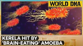 India: Brain-eating amoeba kills 3 in Kerala | WION World DNA