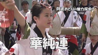 見逃し勿体ない「華純連」Awa Odori Festival - 初心者向け、阿波おどりの魅力探求！