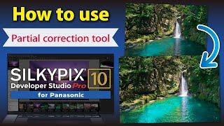 [Partial correction tool] SILKYPIX Developer Studio Pro10 for Panasonic