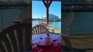 Boating life #boating #boats #seashore #birds #docks #sunshine