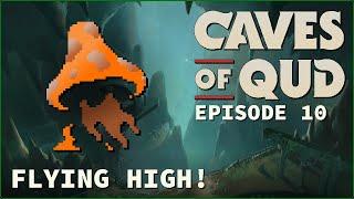 THIS ITEM LETS US DOUBLE OUR DAMAGE?! ¦ Caves of Qud 1.0 ¦ Episode 10