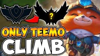 TEEMO TO CHALLENGER - ZWAG