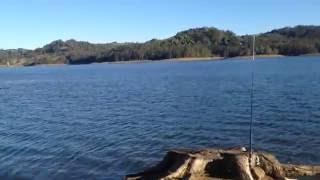 Fishing Lake Baroon Pocket Dam Montville Without a Canoe