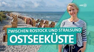 Fischland-Darß-Zingst - Ostsee zwischen Rostock und Stralsund | Wunderschön | ARD Reisen